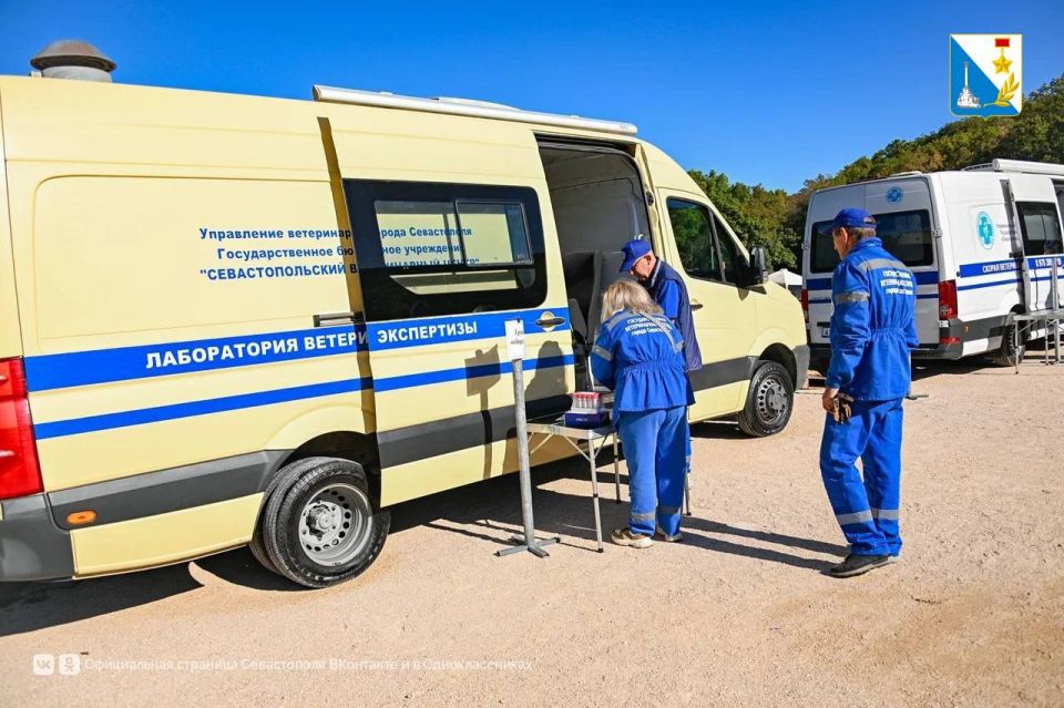 Провели учения по ветеринарной безопасности Провели учения по ветеринарной безопасности
