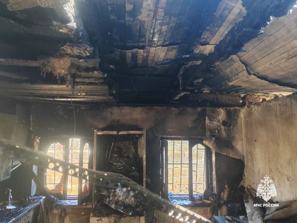 ����� ���� ����� ���� �����