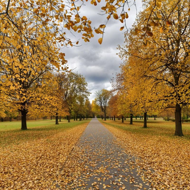 ������� ������ � ����� �� 28 ��������