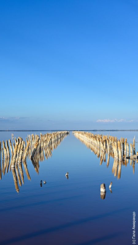 Вода Крыма: Инопланетные обои на ваш телефон с видами осеннее озеро Сасык-Сиваш Вода Крыма: Инопланетные обои на ваш телефон с видами осеннее озеро Сасык-Сиваш