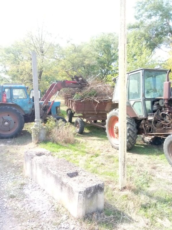 ��������� �������: ���������� �������� � ������������� ��������� ������ �������� ������