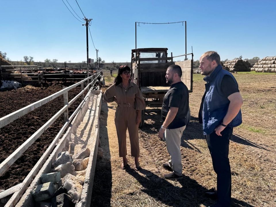 Как в Крыму выращивают «борщевой набор» Как в Крыму выращивают «борщевой набор»