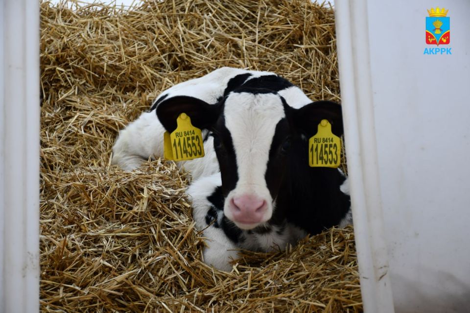 ������� ��������: ������ ������� � �������������� ������������������: ��� ����� ����, ��� ���������� ����, ��� �������, ��� ��������-2�, ��� ����� ���������, ��� ����� ���� ����