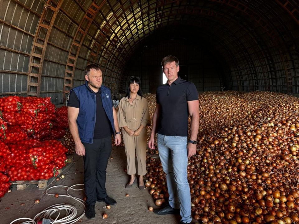 Как в Крыму выращивают «борщевой набор» Как в Крыму выращивают «борщевой набор»