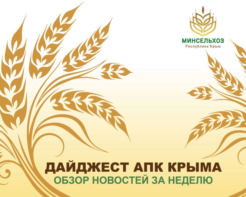 ��� ��� ����� ����� �� ���� ������: