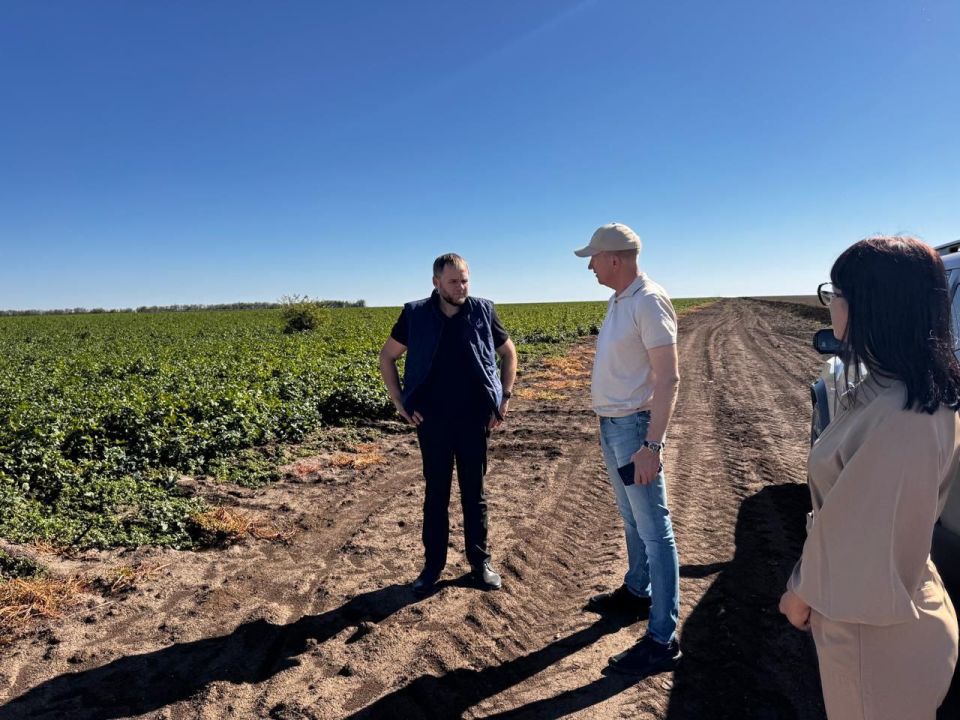 Как в Крыму выращивают «борщевой набор» Как в Крыму выращивают «борщевой набор»