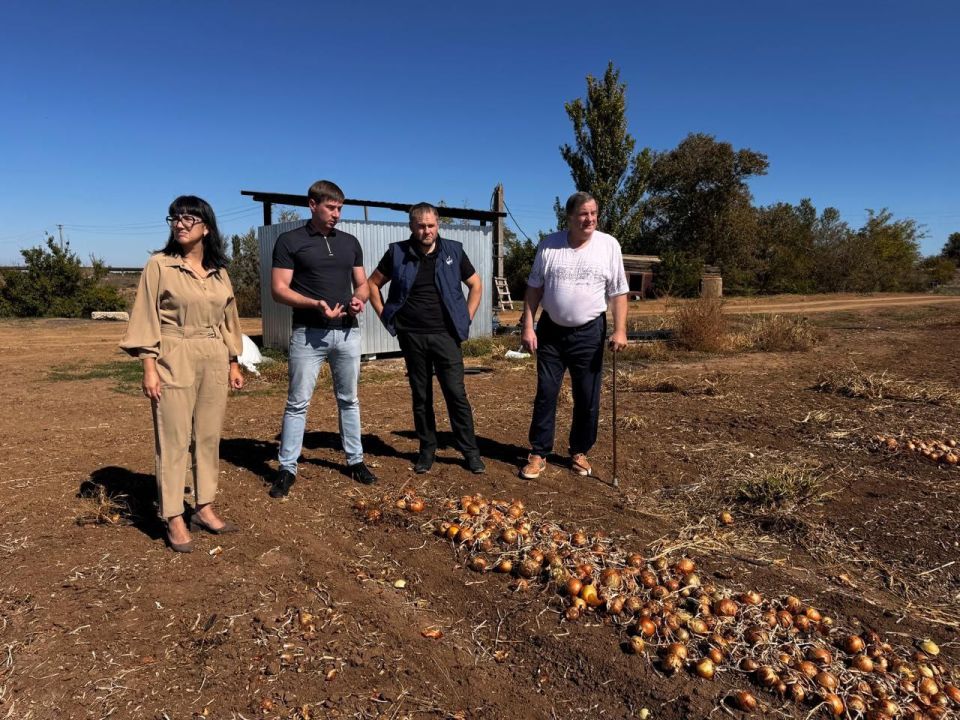 Как в Крыму выращивают «борщевой набор» Как в Крыму выращивают «борщевой набор»