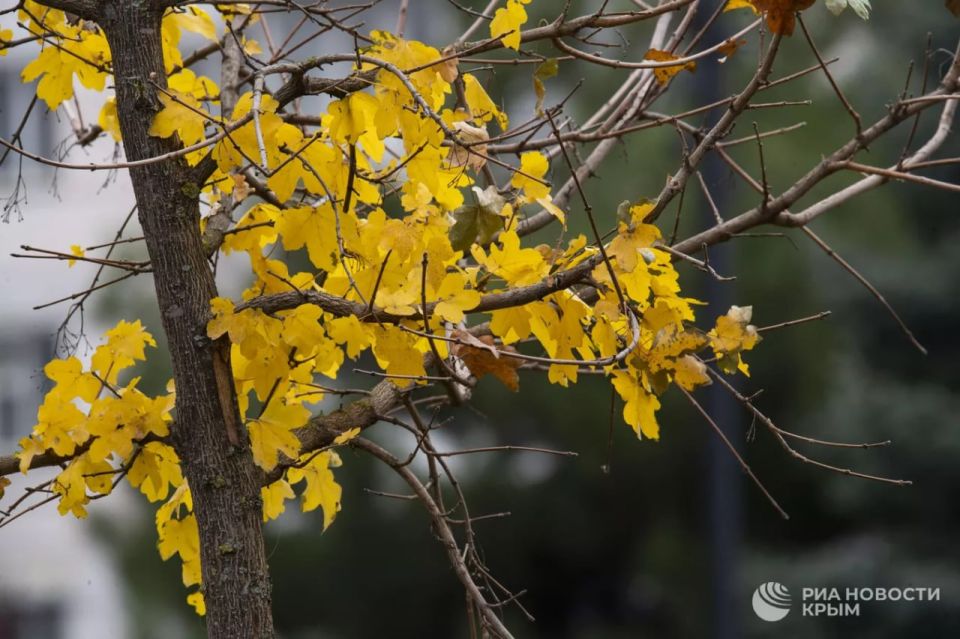 ������� ������ � ����� �� �������