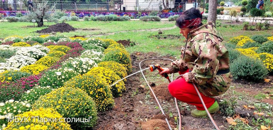 В Симферополе парк Гагарина украсят сотни кустов хризантем и астр В Симферополе парк Гагарина украсят сотни кустов хризантем и астр