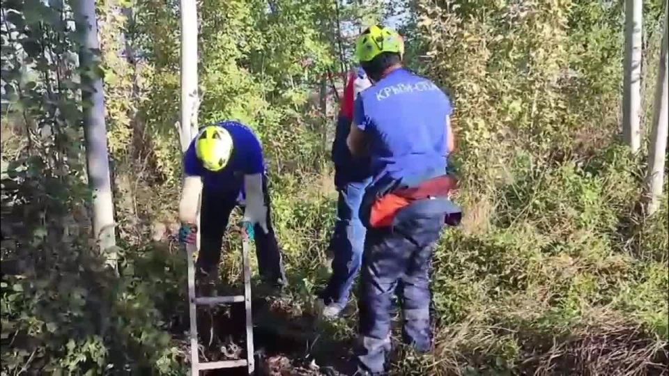 Сотрудники "КРЫМ-СПАС" оказали помощь мужчине, упавшему в колодец в Судаке