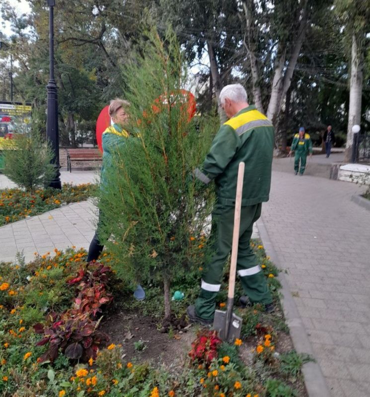 Осенние заботы озеленителей «Городского благоустройства» Осенние заботы озеленителей «Городского благоустройства»
