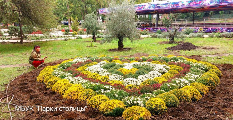 Парк Гагарина в Симферополе украсят тысячи осенних цветов Парк Гагарина в Симферополе украсят тысячи осенних цветов