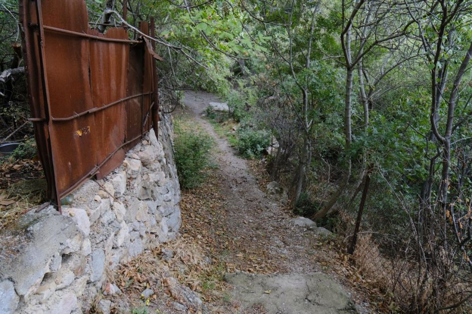 ����� ��������: ��������� � ����������� ��������� �����������