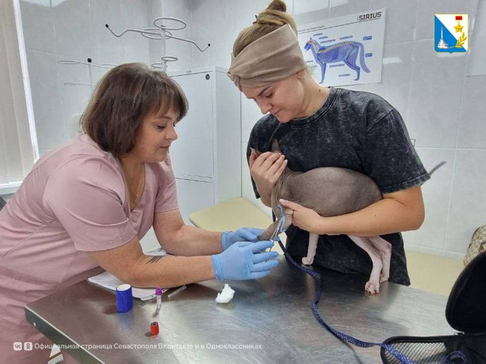 Заботимся о здоровье питомцев Заботимся о здоровье питомцев