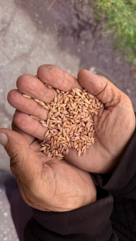 ����� ������: ������� ���� ����� ����������� � �������������� ������� ������������������ - ������ ��������� (��� ������� �.�. ) � ��������� ���������� (��� �������� �.�.) � ����������� �������� ���������