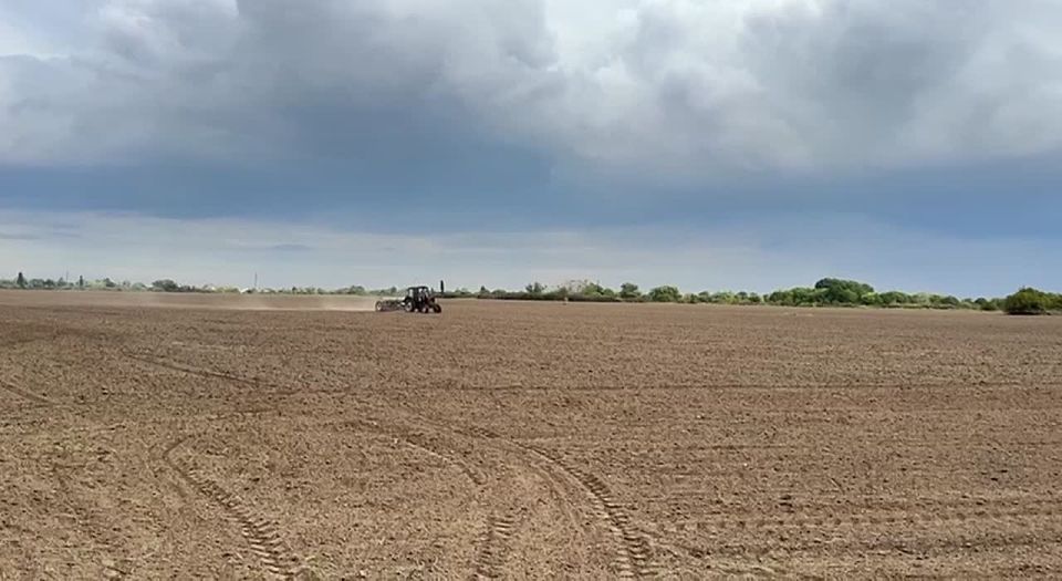 ����� ������: ������� ���� ����� ����������� � �������������� ������� ������������������ - ������ ��������� (��� ������� �.�. ) � ��������� ���������� (��� �������� �.�.) � ����������� �������� ���������