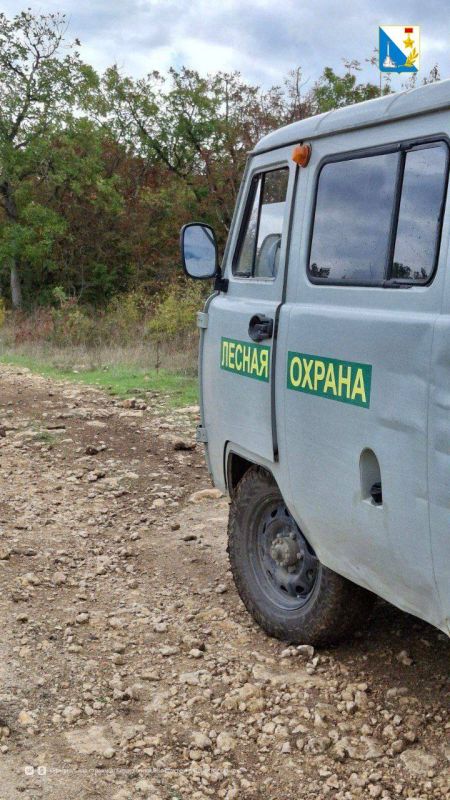 Охраняем лес. Инспекторы Мекензиевского лесничества проводят регулярные рейды для охраны лесов и предотвращения нарушений Охраняем лес. Инспекторы Мекензиевского лесничества проводят регулярные рейды для охраны лесов и предотвращения нарушений