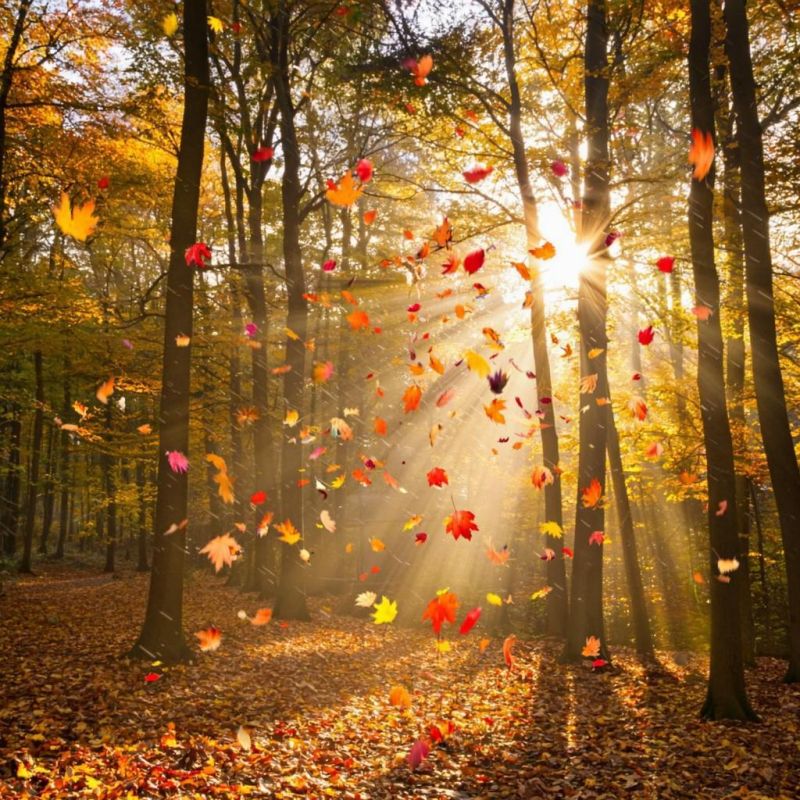 ������� ������ � ����� �� 1 �������