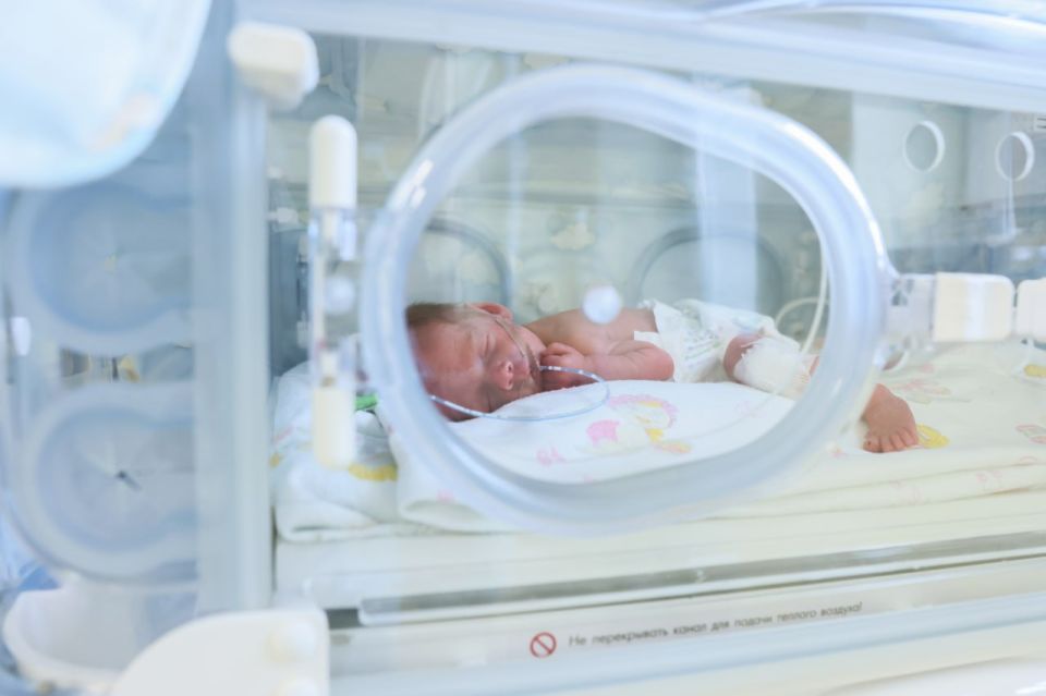  :  2025       481       341  