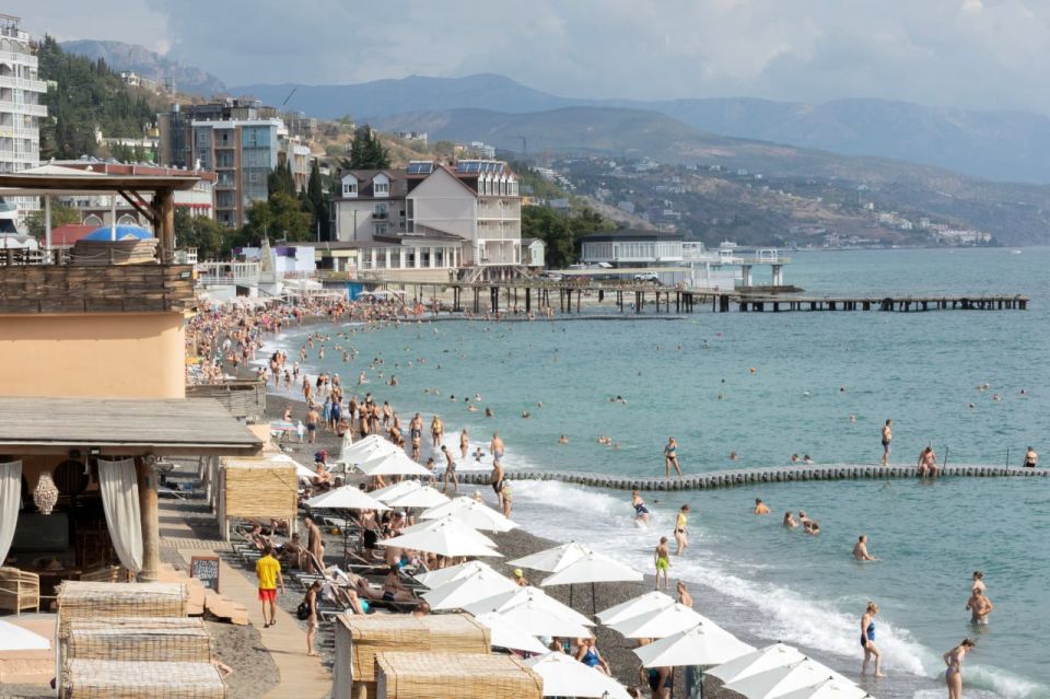  :          6  ,   16 %     2024 