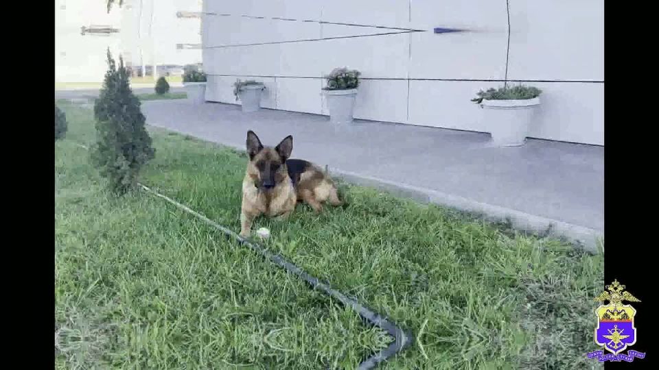 ������������ ������� ����� ����������� ����� � ������� ��������� ������ ������� � ��������� �����������