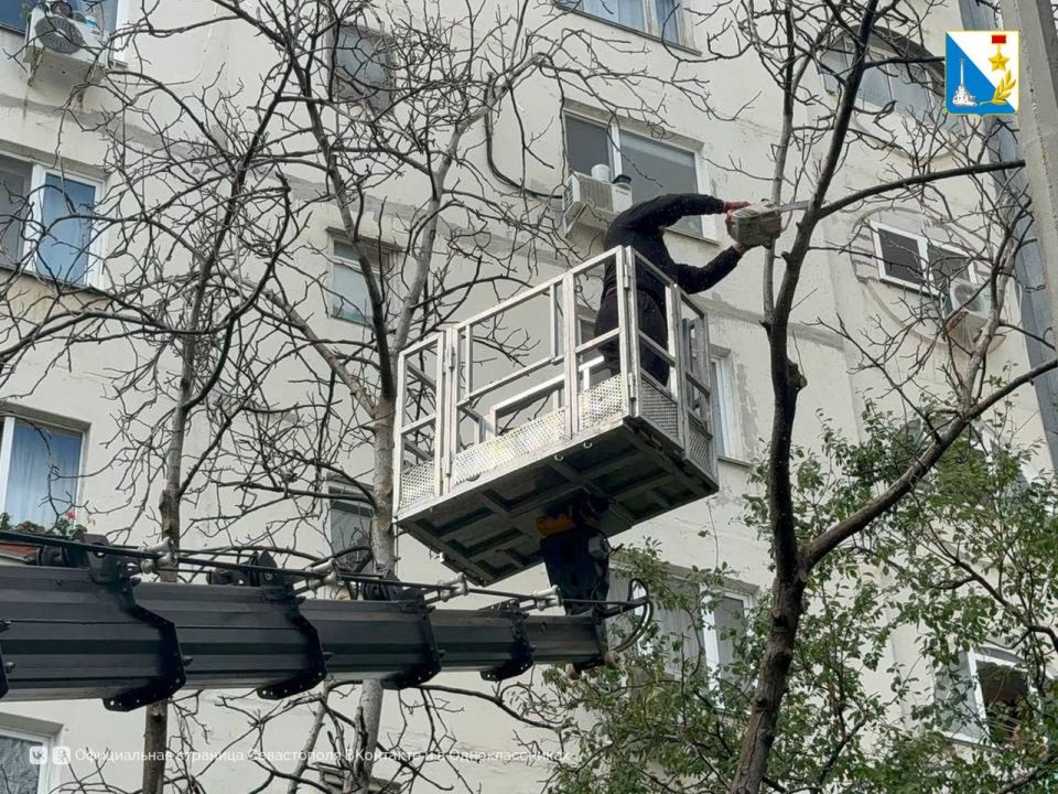 Благоустраиваем придомовые территории