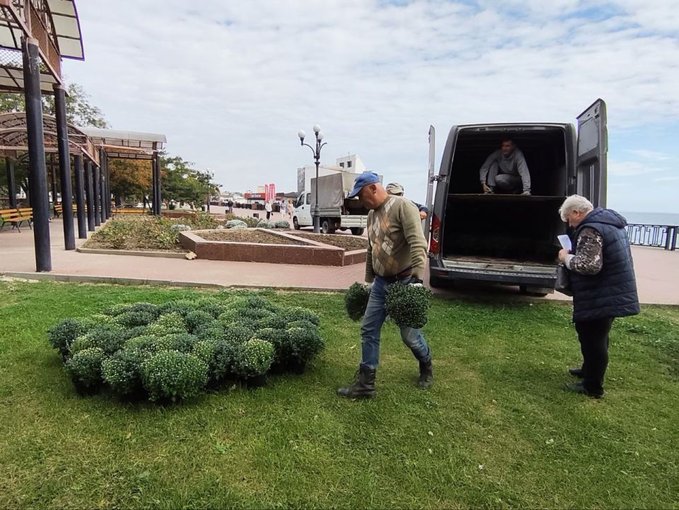 Феодосию украсят около пяти тысяч цветущих многолетников Феодосию украсят около пяти тысяч цветущих многолетников