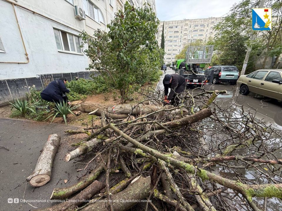 Благоустраиваем придомовые территории Благоустраиваем придомовые территории