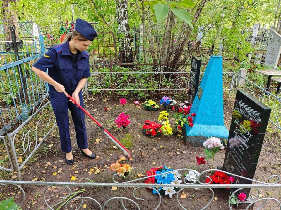 Трудовые отряды СК России: три года заботы о людях Трудовые отряды СК России: три года заботы о людях