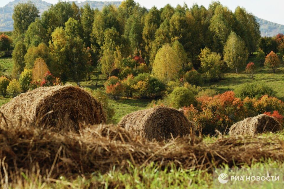 ������� ������ � ����� �� �������