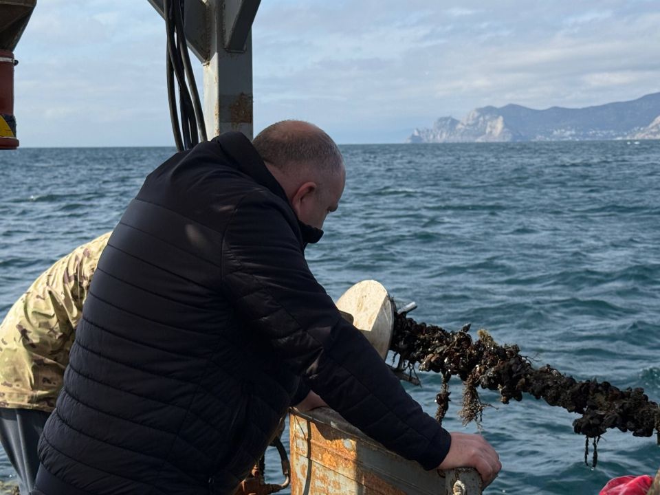 Министр сельского хозяйства Республики Крым Денис Кратюк посетил предприятие ООО «Судак Аквамир», которое в 2024 году получило государственную поддержку Министр сельского хозяйства Республики Крым Денис Кратюк посетил предприятие ООО «Судак Аквамир», которое в 2024 году получило государственную поддержку