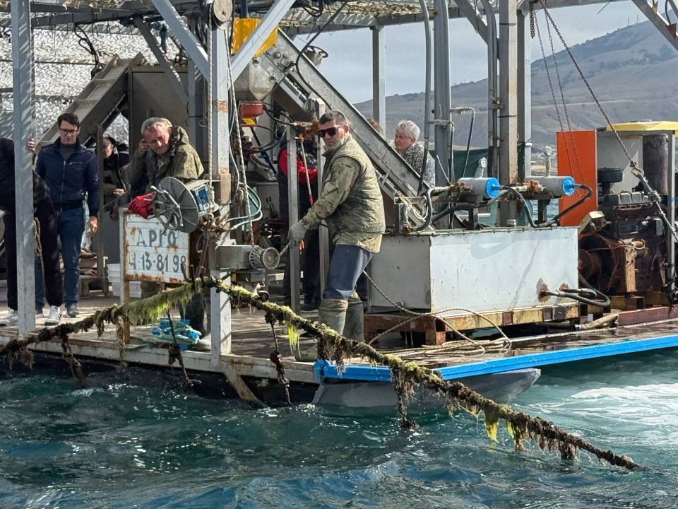 ������� ��������� ��������� ���������� ���� ����� ������ ������� ����������� ��� ������ �������, ������� � 2024 ���� �������� ��������������� ���������