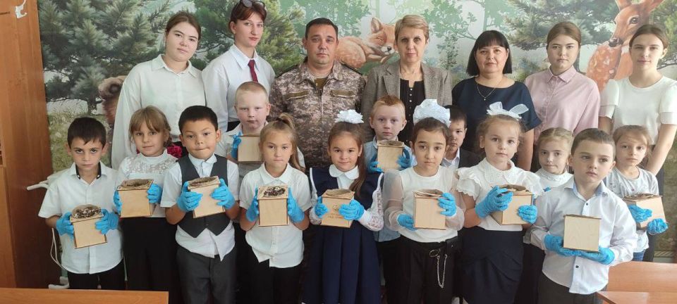 ����� �������: ������������� ����� ��� ��������������� �������� ��� ������ �������� �������