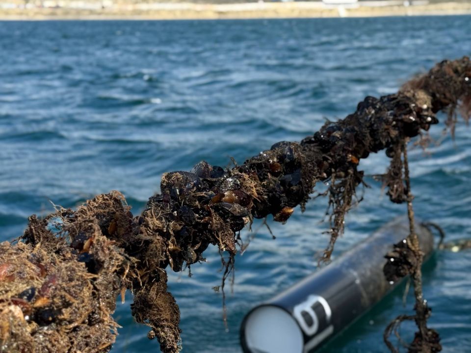 Министр сельского хозяйства Республики Крым Денис Кратюк посетил предприятие ООО «Судак Аквамир», которое в 2024 году получило государственную поддержку Министр сельского хозяйства Республики Крым Денис Кратюк посетил предприятие ООО «Судак Аквамир», которое в 2024 году получило государственную поддержку