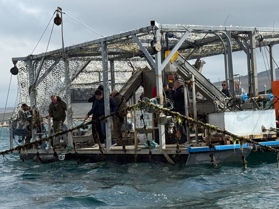 Министр сельского хозяйства Республики Крым Денис Кратюк посетил предприятие ООО «Судак Аквамир», которое в 2024 году получило государственную поддержку Министр сельского хозяйства Республики Крым Денис Кратюк посетил предприятие ООО «Судак Аквамир», которое в 2024 году получило государственную поддержку