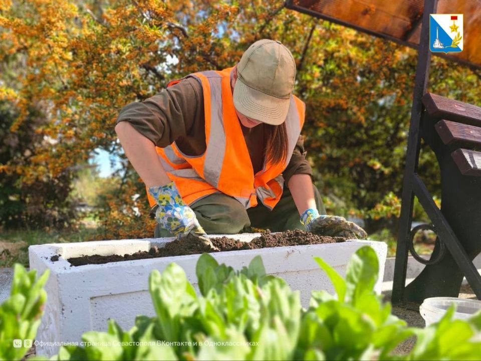  .           ,        2-  