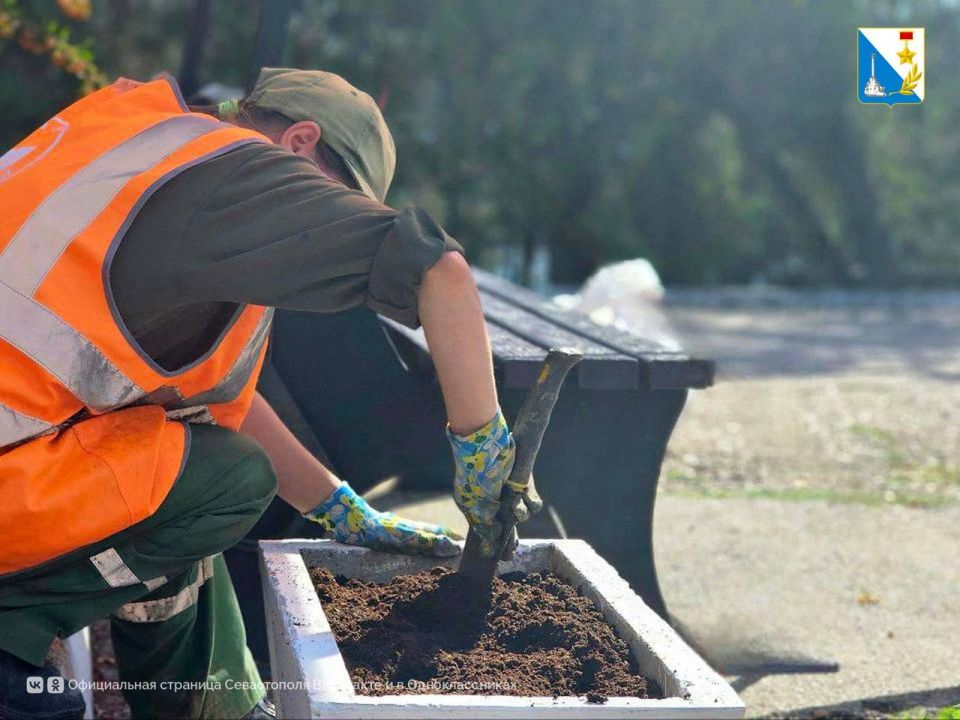  .           ,        2-  