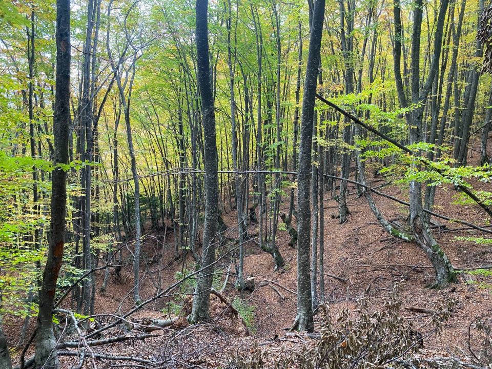 � ��������� ��������� ����������� ����������� ������ � ���� ������������� ����