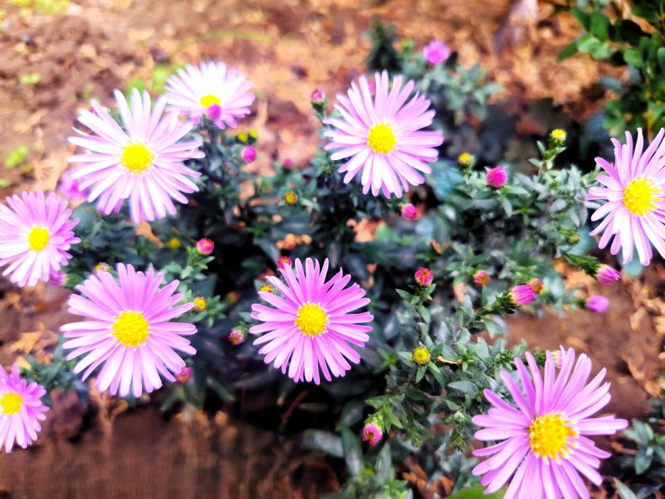 � ������ �����, �������!. ����� ���� ���� ����� ����� �������, ������� � �������� ���������! ������������� ���������� �������� ��������� � ���������� � ������������ ������ �� ��������