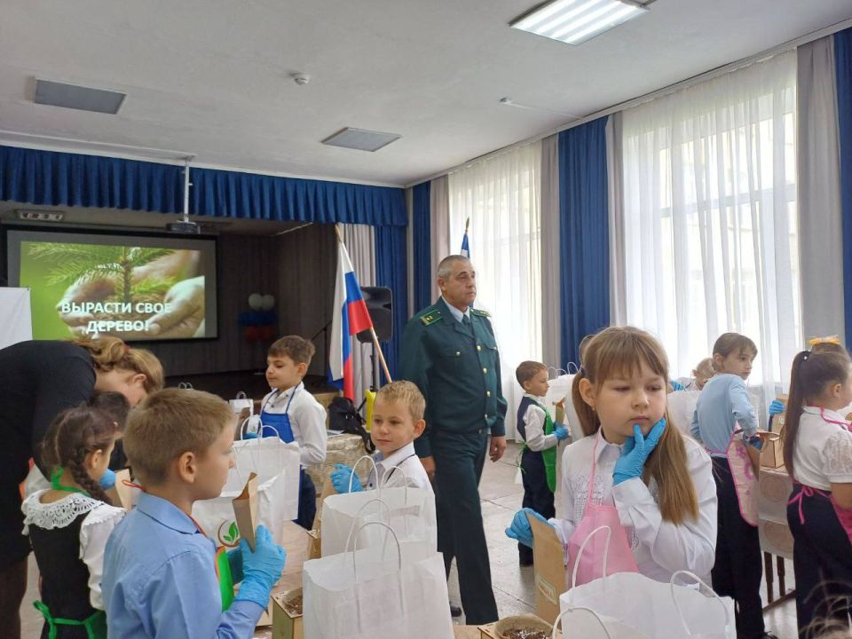 ����� �������: ������������� ����� ��� ��������������� �������� ��� ������ �������� �������