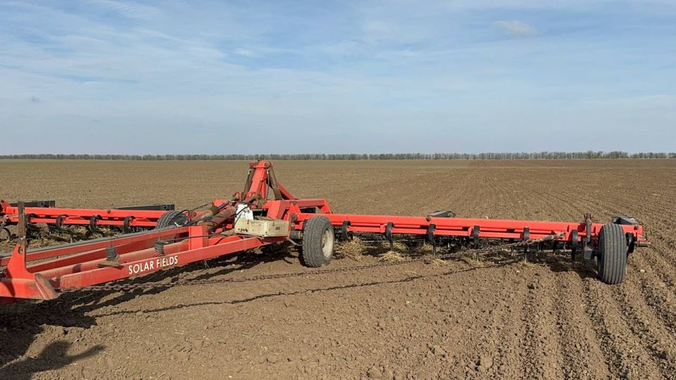 ��������� �������: �� ��� �������� ������ ������ ���� � ������ 2026 ����!