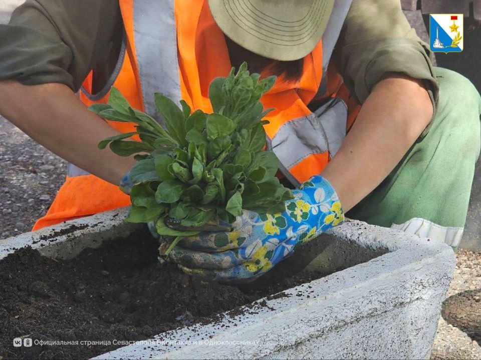  .           ,        2-  