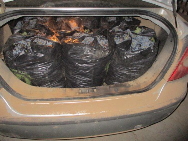 � ����� �������� ������ ����� ����� ����������� ����������� � 130 ����������� �������� ������� ����� � ����