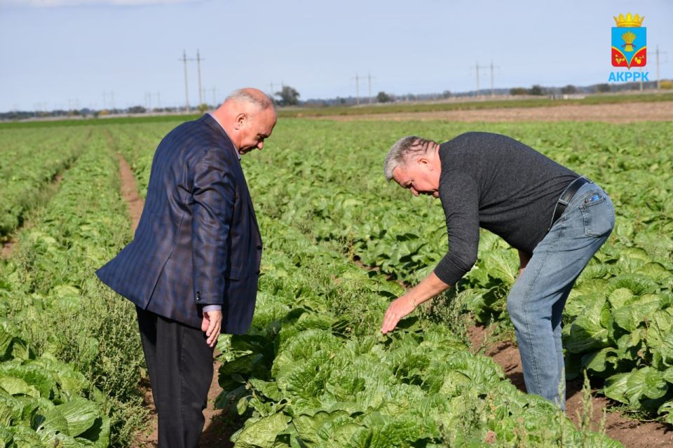 ����� ������������� ������ ���������� ������ � ��������: ������� �������� � �������������� ��������, ������������, ������� ����, �� ���, ��� ������ �.�, ��� ������� �.�., ��� ������ �.�. � ������� ��