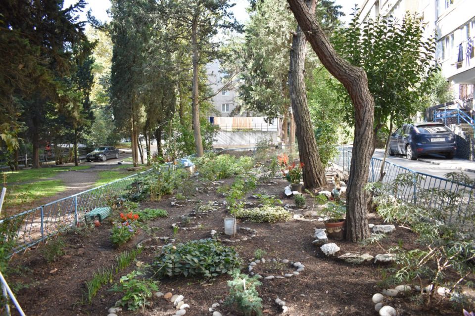 ������ ������: ������� ������� � �������� ����� ���������