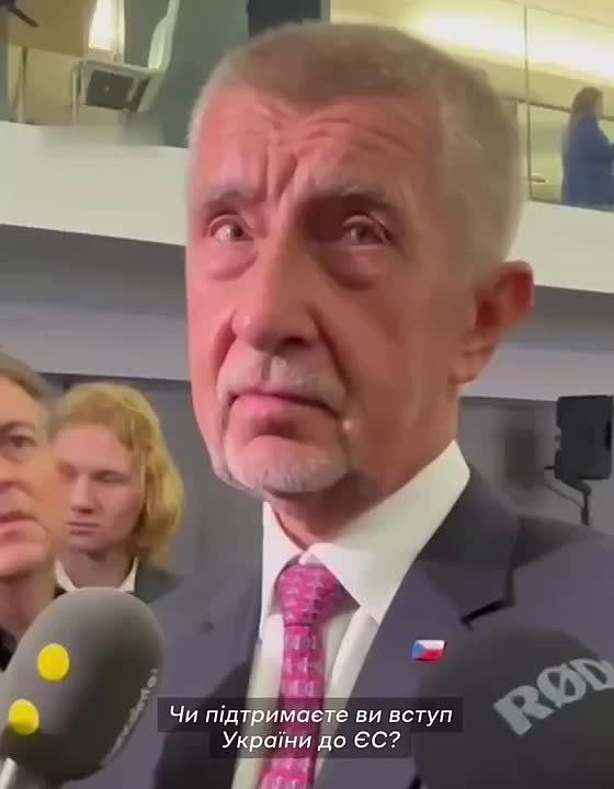 Анатолий Кузичев: Итак, в Чехии прошли выборы в нижнюю палату парламента, которые выиграла партия АНО во главе с довольно противоречивым политиком Андреем Бабишем