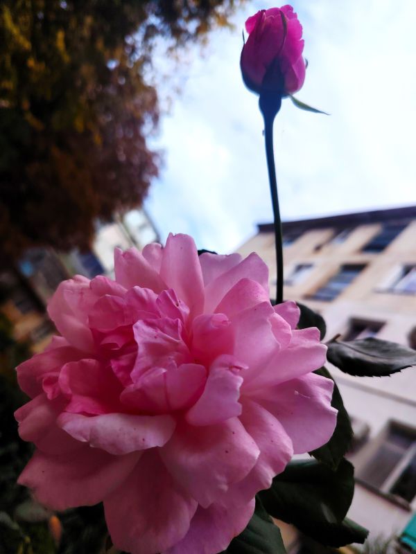 � ������ �����, �������!. ����� ���� ������ �������� � ��������� ����������