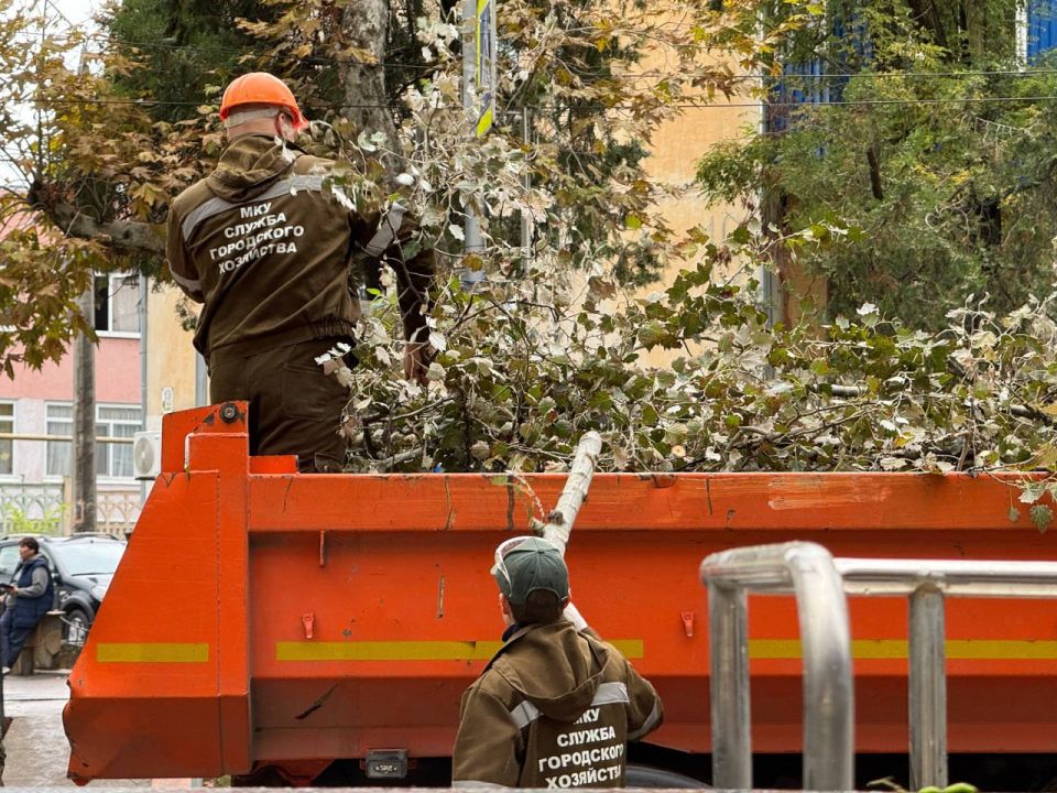 Масштабную обрезку деревьев провели сегодня специалисты Службы городского хозяйства в районе ул. Горького, 22. Для работы задействовали специальную 45-метровую автовышку Масштабную обрезку деревьев провели сегодня специалисты Службы городского хозяйства в районе ул. Горького, 22. Для работы задействовали специальную 45-метровую автовышку