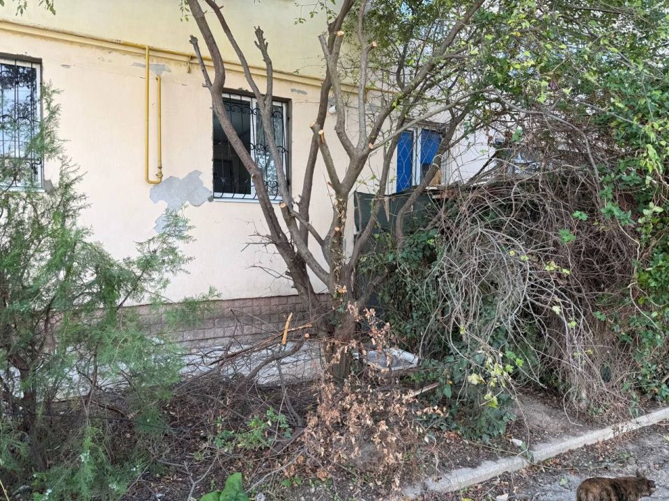 ����������� ����� ������������� �������� ������ ���������� ������ � ���������� ������ �������� ������ � ����� �������� ��� ������������ ��������� ������ �� ���������� ������ � ���������� ��������������� ����� �...