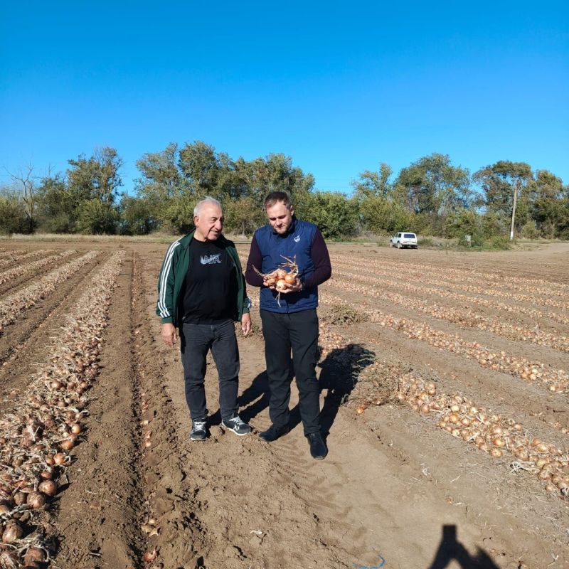 ������� ������� ����� � ������������ �����